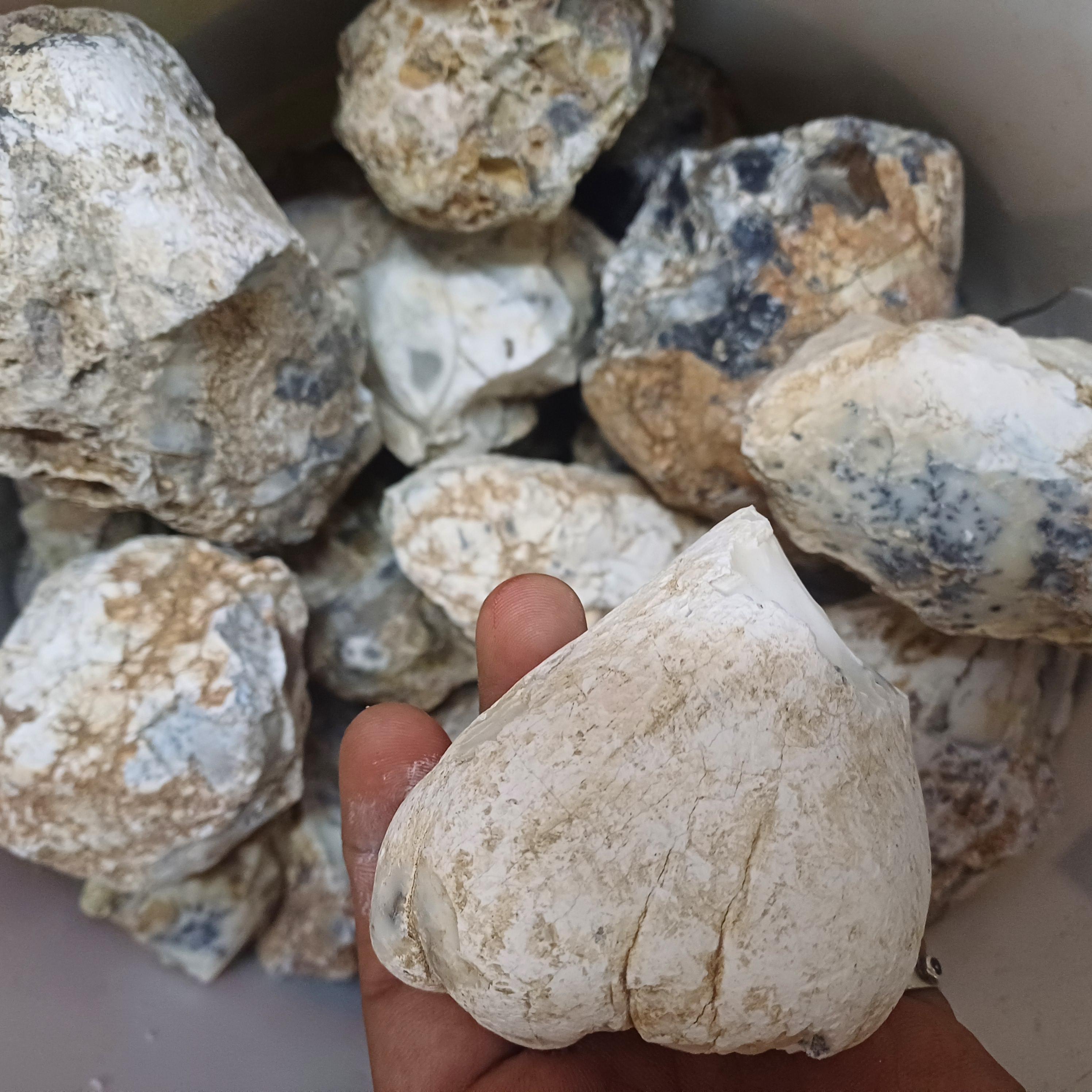 Dendrite agate , opal , agate , dendritic agate , dendritic . dendritic opal , rough , natural