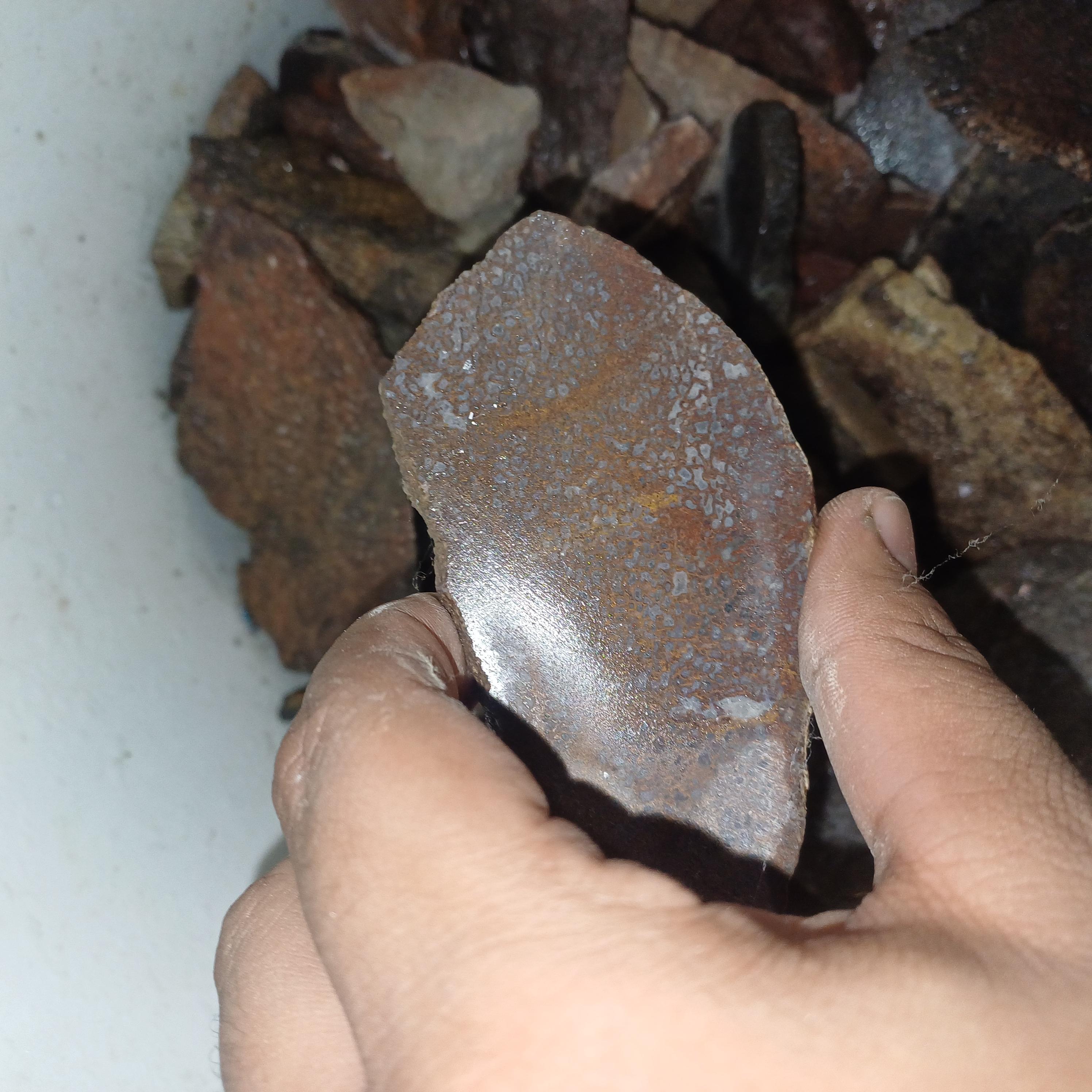 natural , rough , semi-precious gemstone rough , gemstone , dinosaur bone rough slices