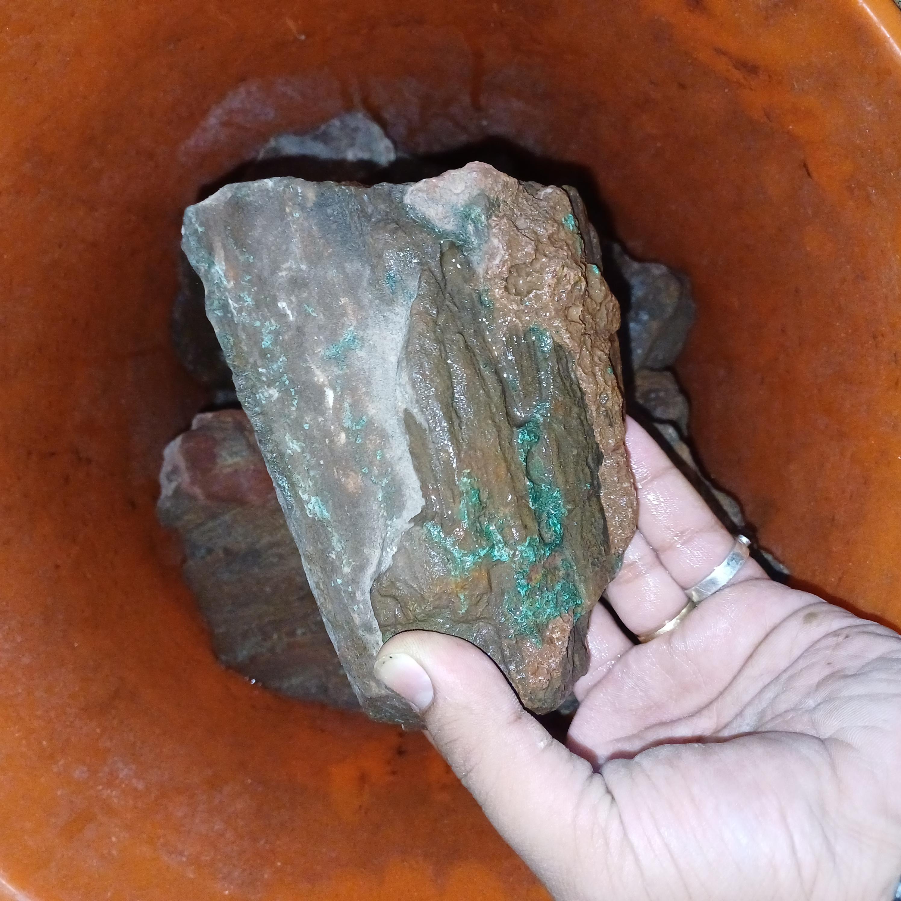 natural , rough , semi-precious gemstone rough , gemstone , petrified wood , chrysocolla , wood with chrysocolla