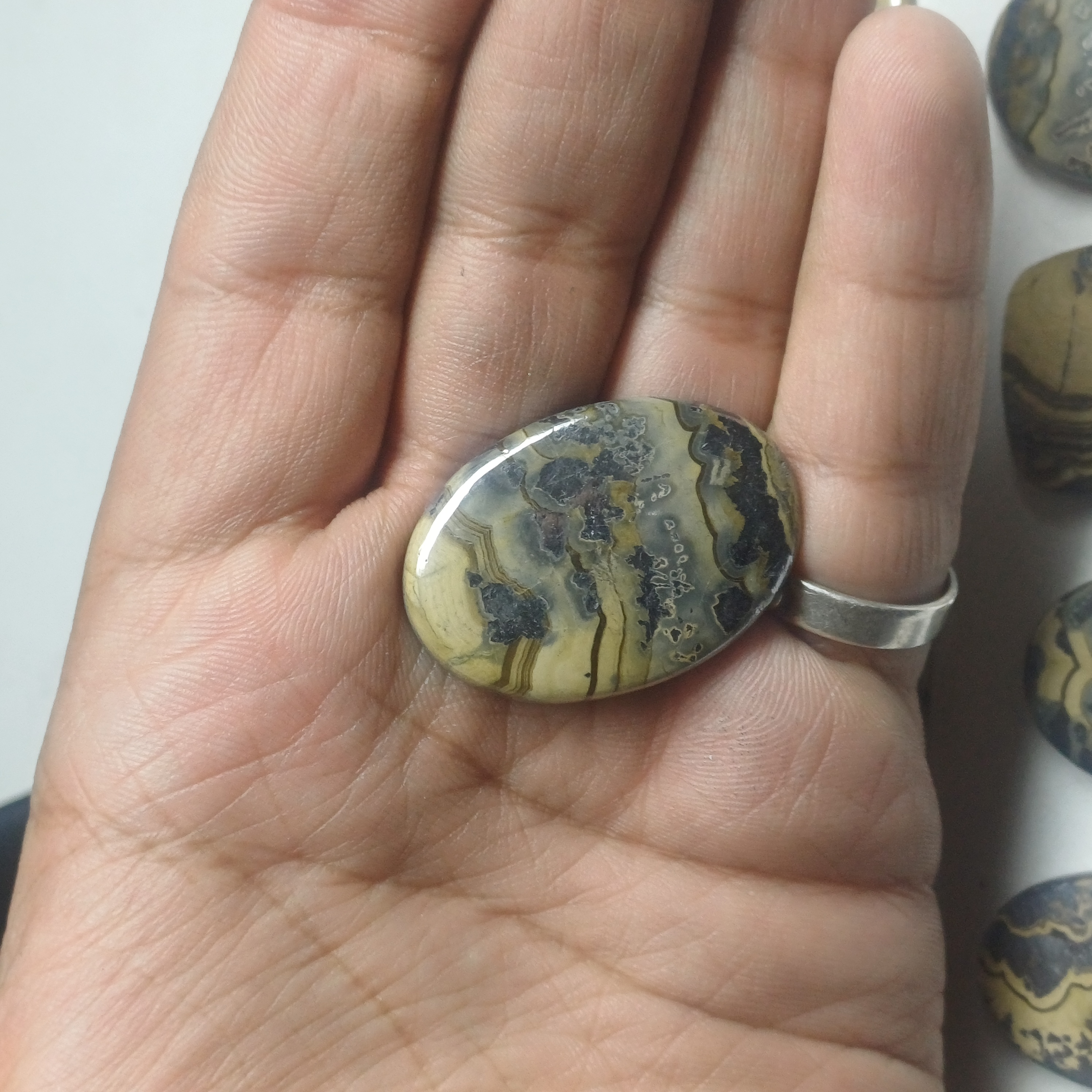 Please contact us to know more about the pricing